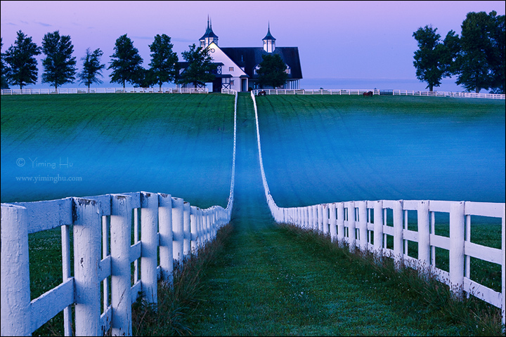 Horse Farm + repo