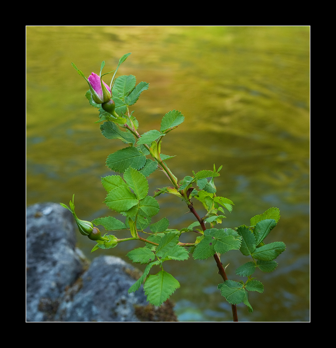 Between Rocks