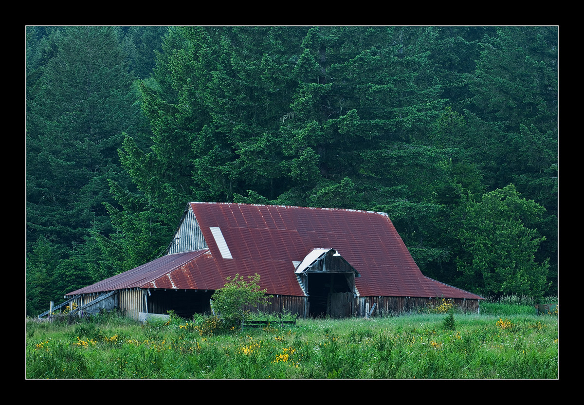 Old Barn - Elk Valley