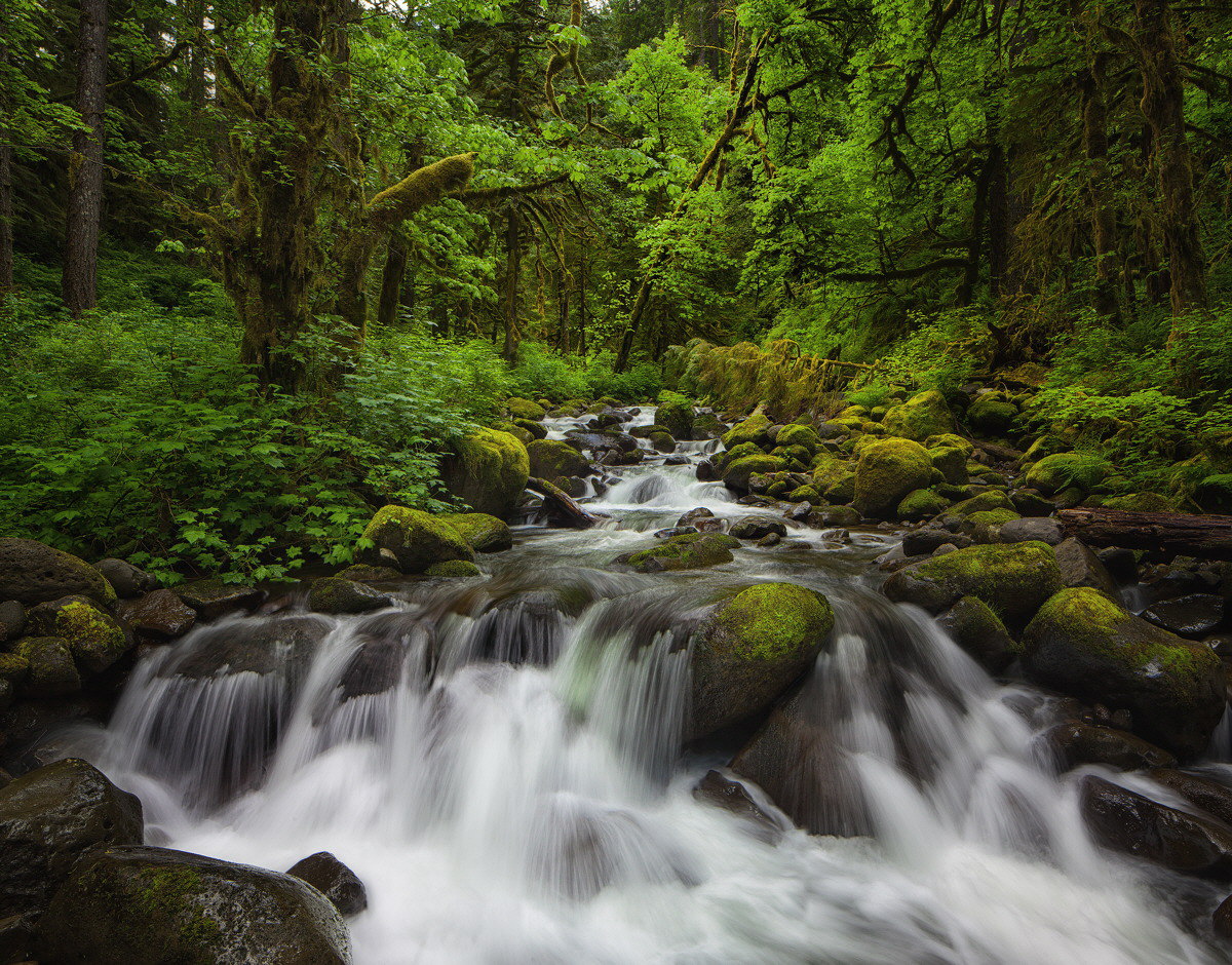 Oneonta Creek
