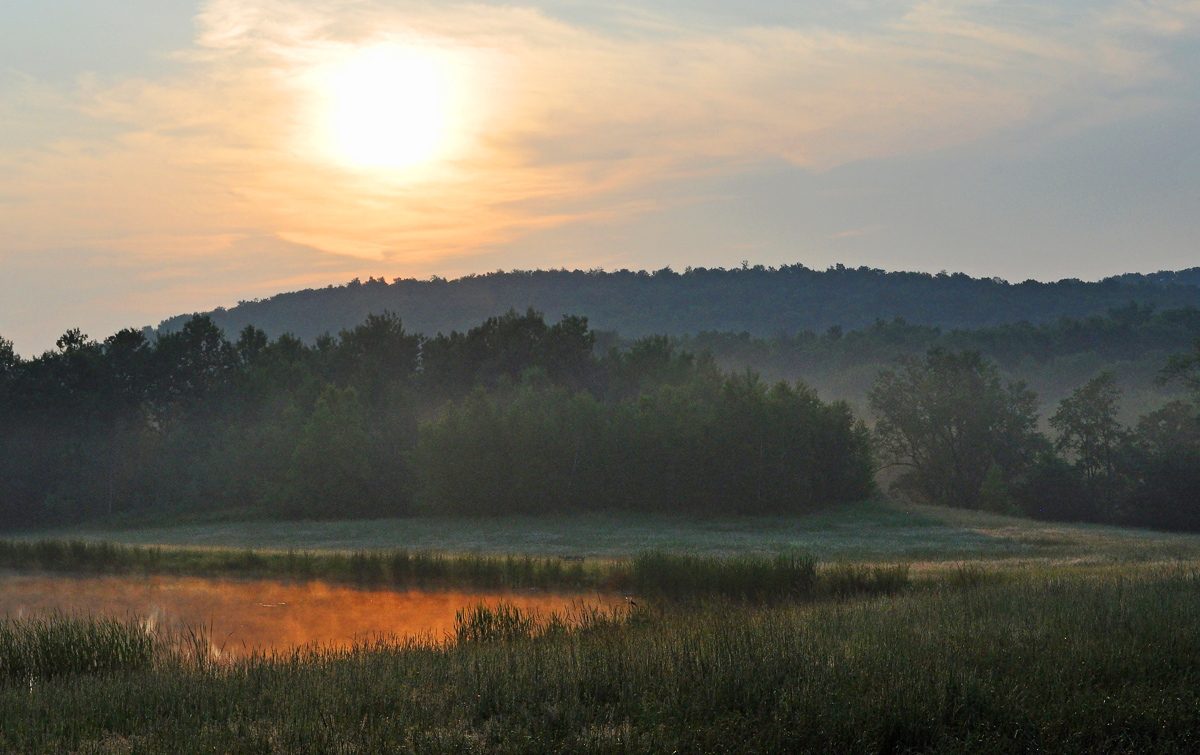 Farmer's Pond