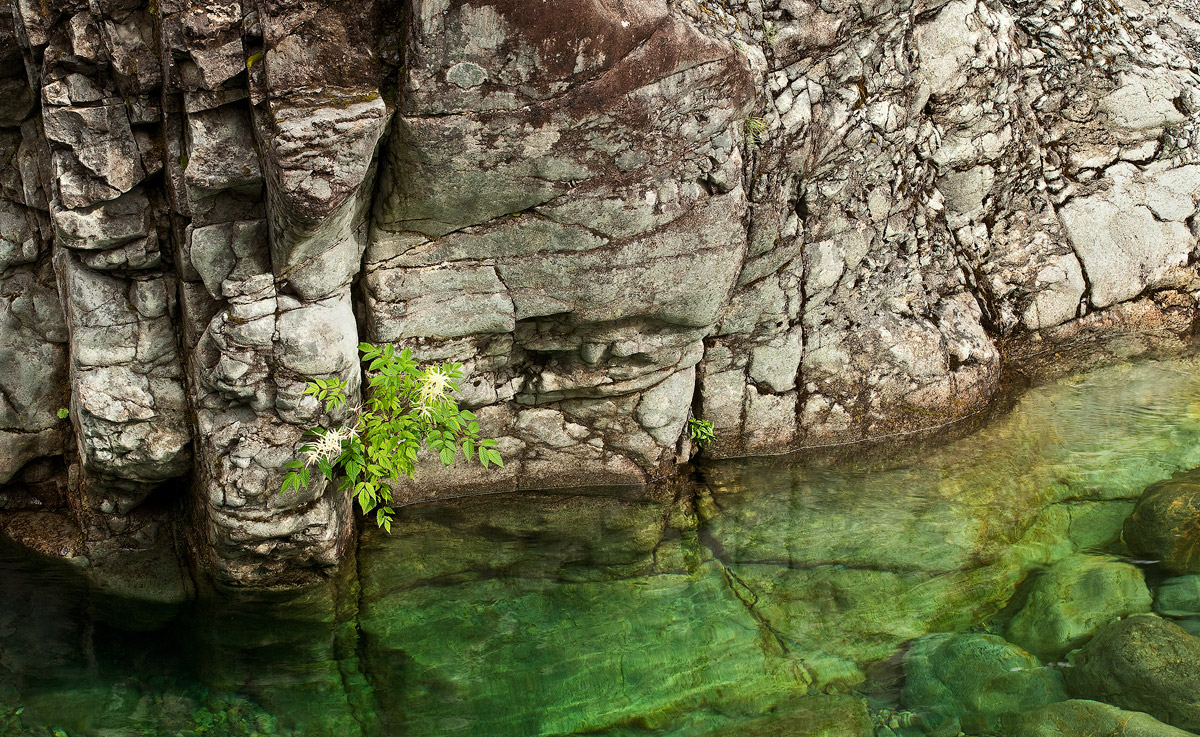 On the rocks