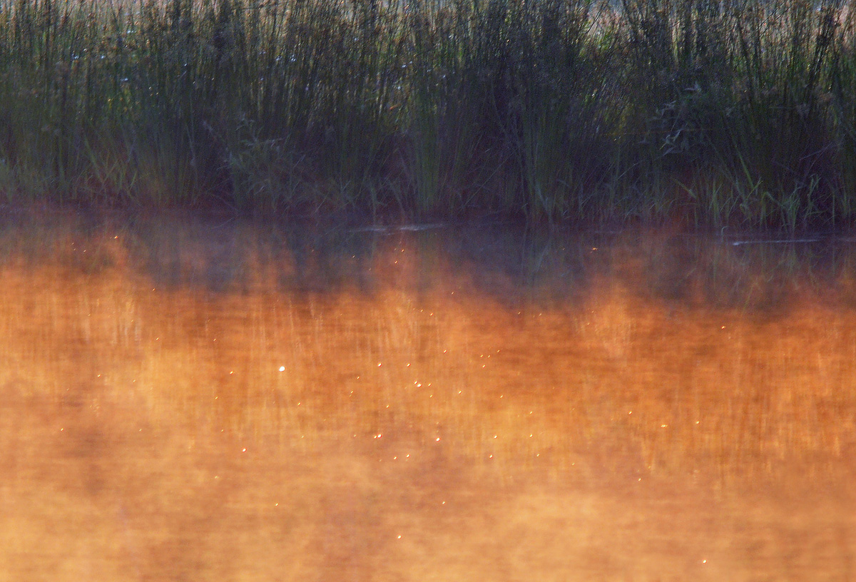 Thru the Haze