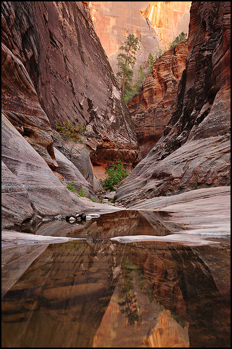 Canyon Stillness