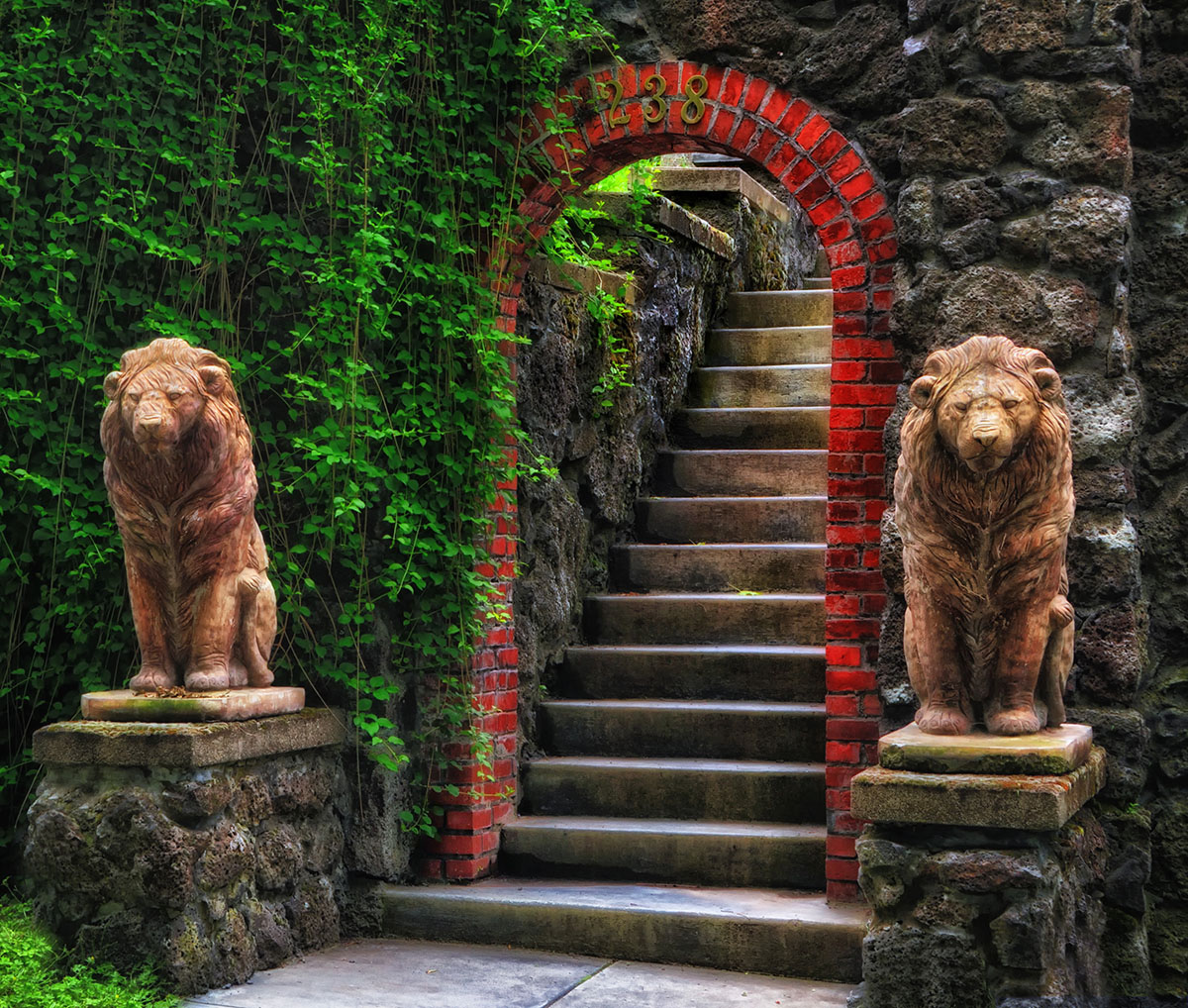 Lions Guarding