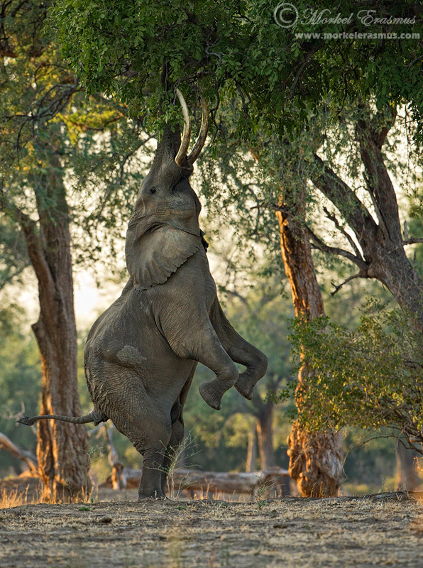 A Fine Balance