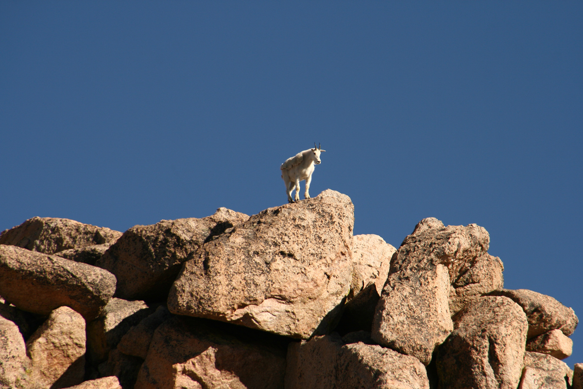 At the top, Mt. Evans