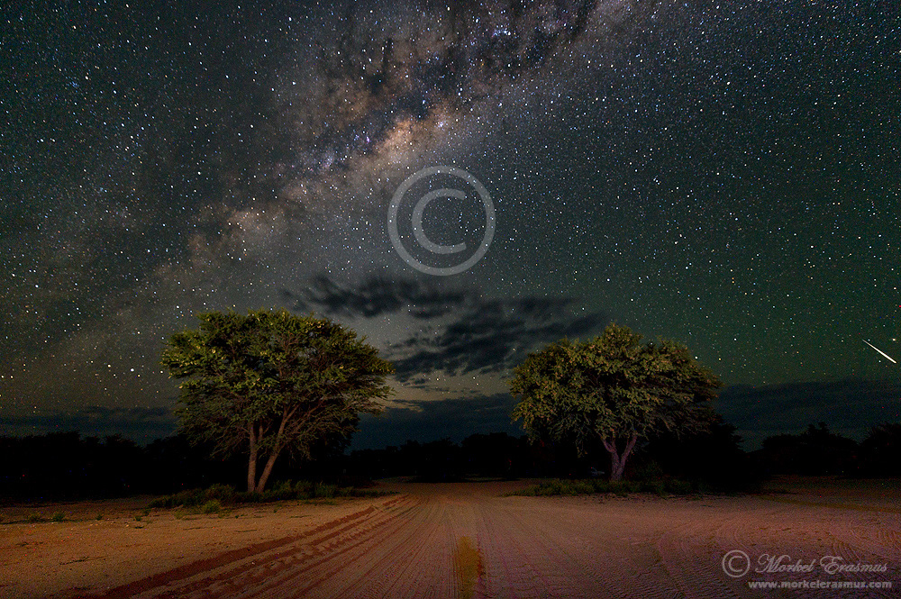 Road to the Stars