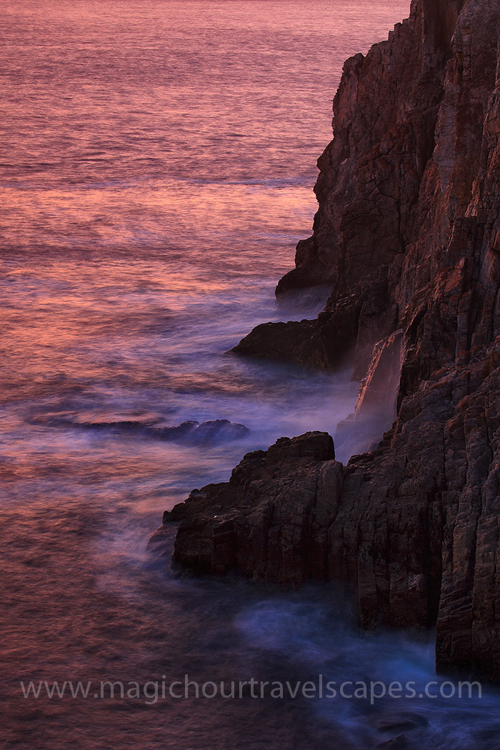 Rose Tinted Crozon x3
