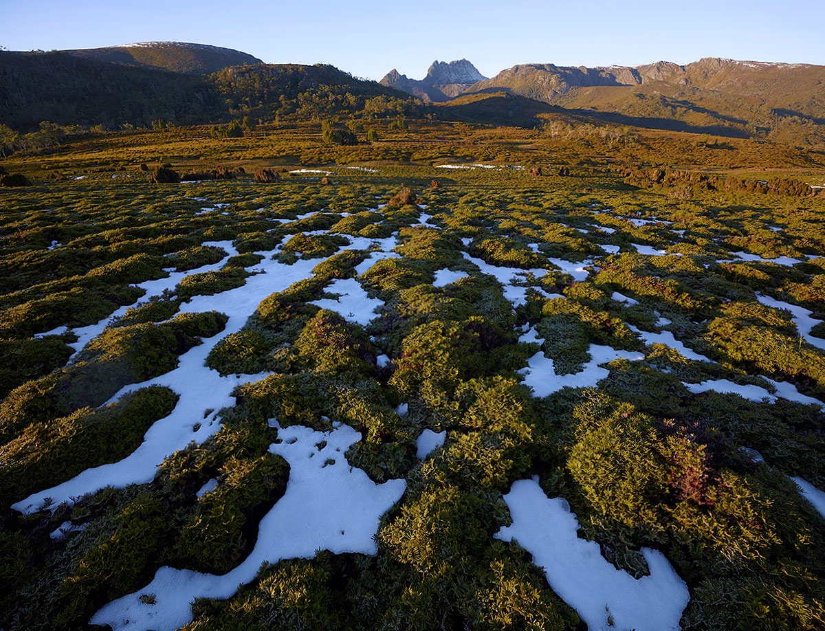 Cradle Mtn, Tasmania