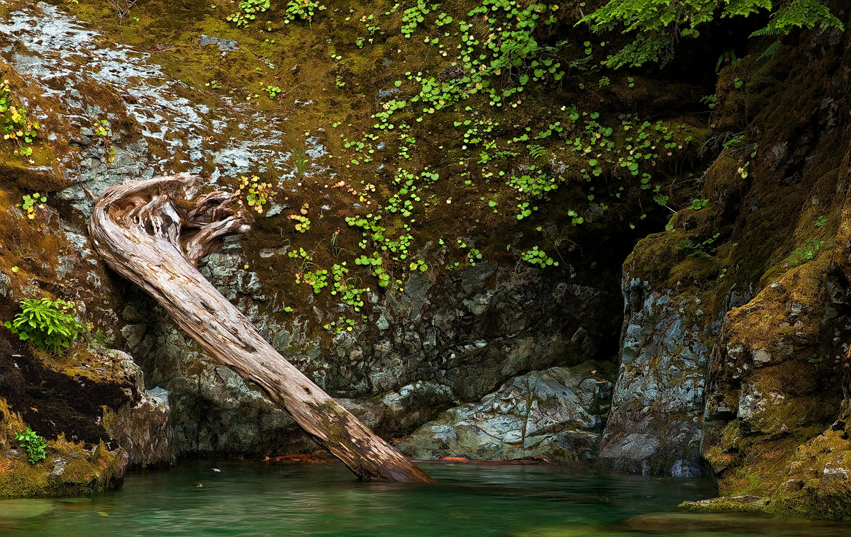 Opal Creek Wilderness