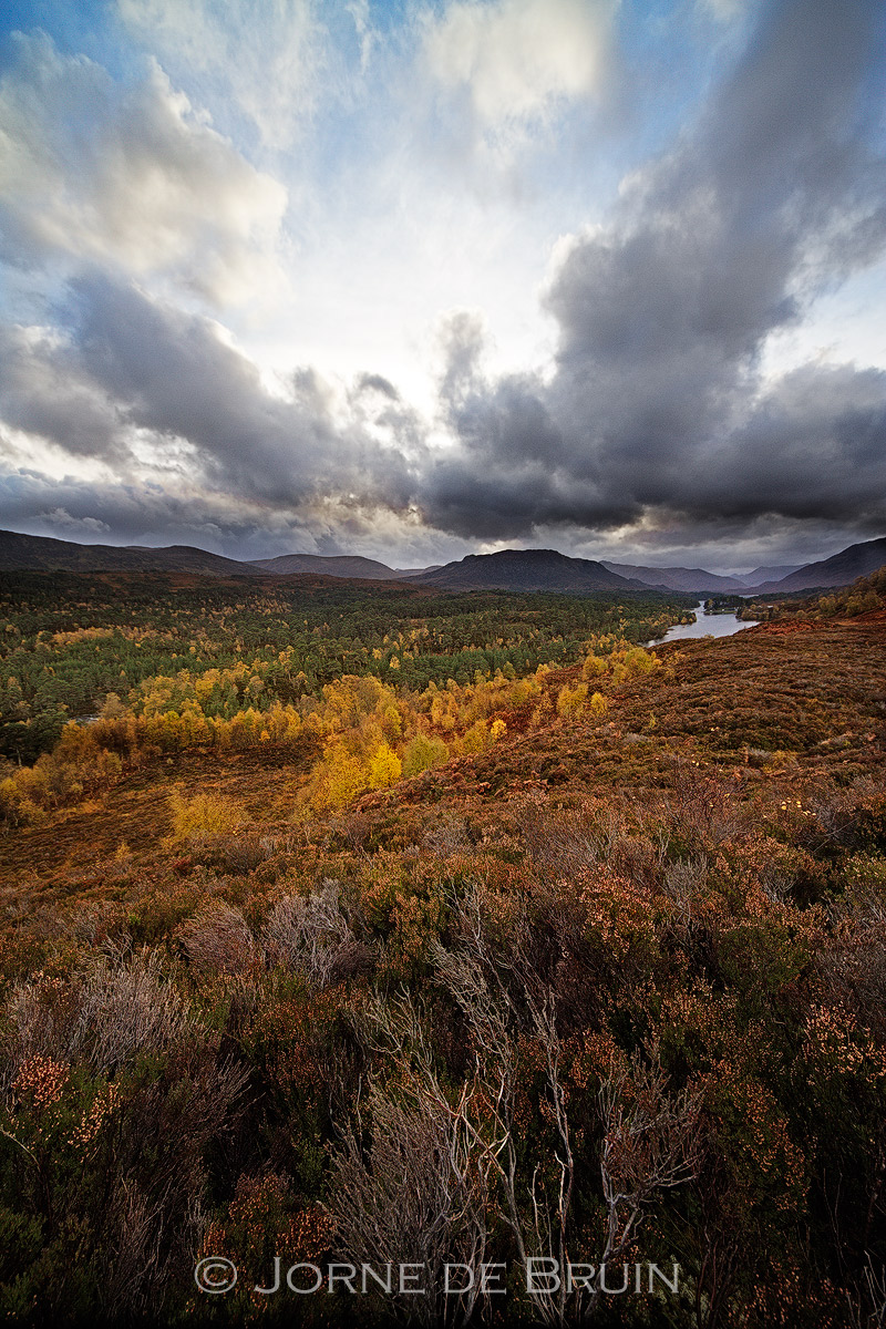 Autumn Vista