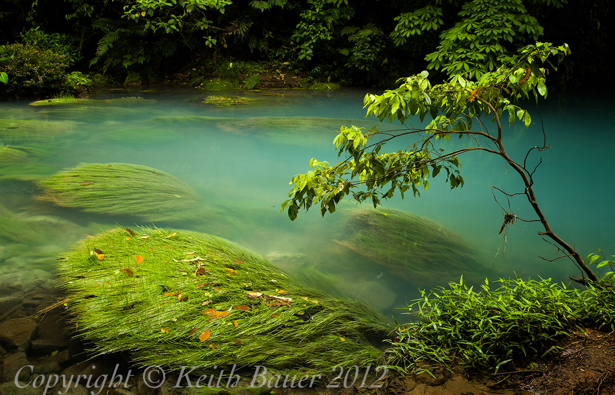 Rio Celeste