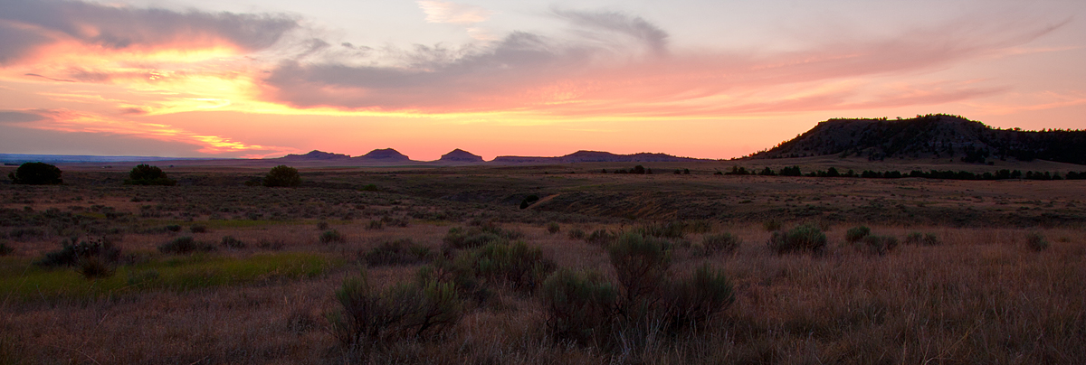 Open Prairie