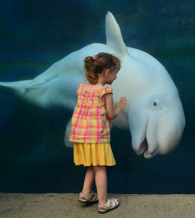 Friends at first sight