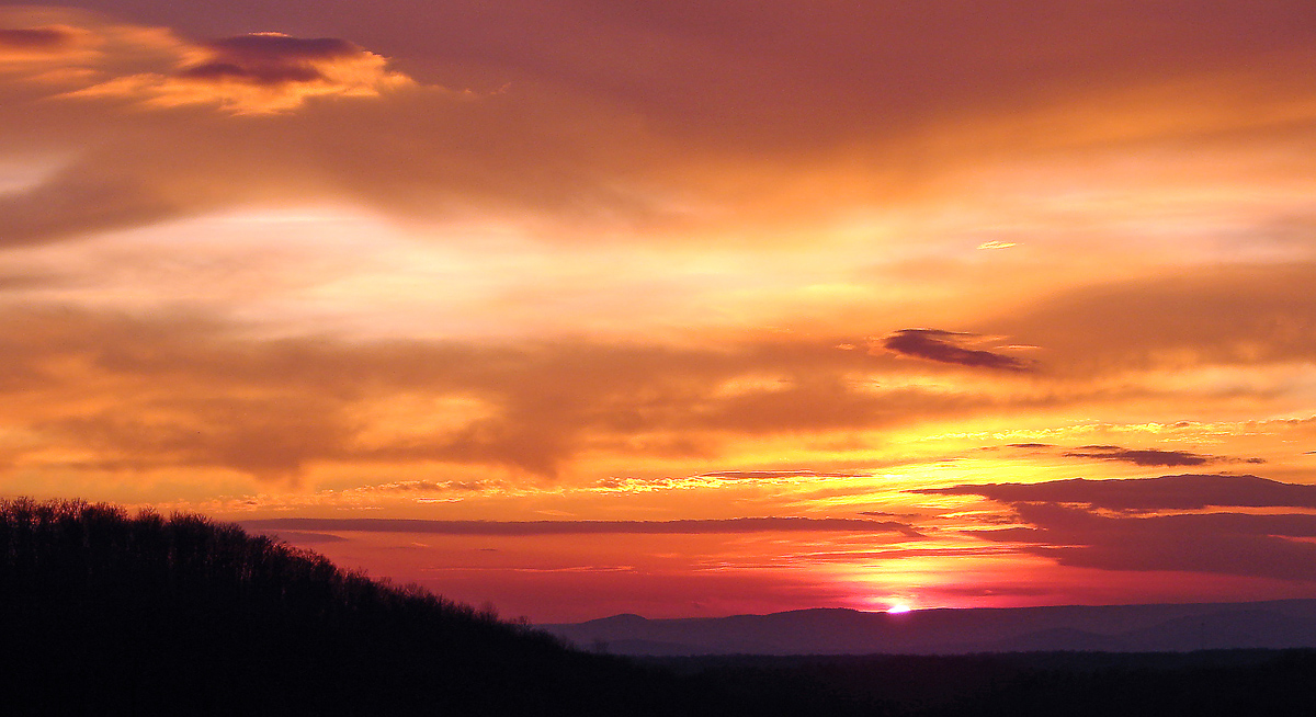 Sailor's Delight