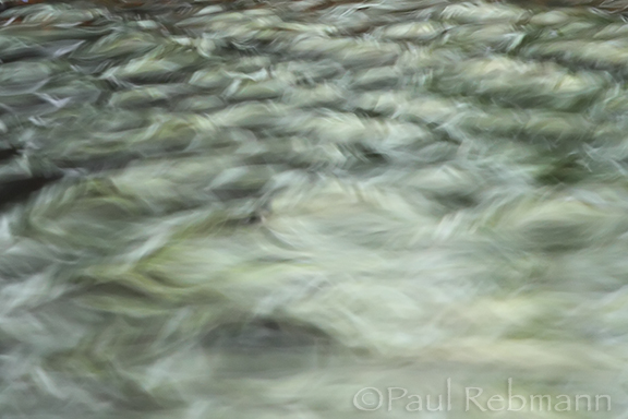 Natural Fractalius