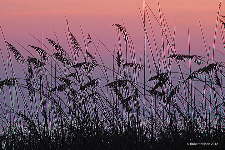 Atlantic dawn