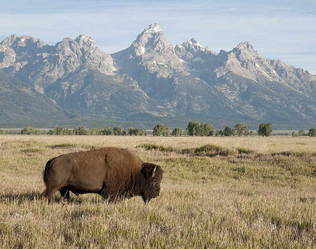 Iconic Shot of Old West