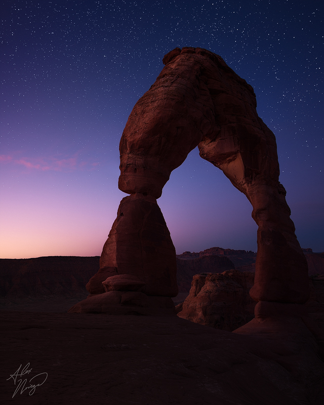 Delicate Twilight