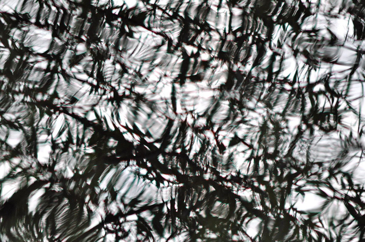 Ebb & Flow