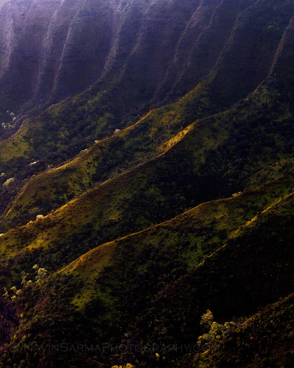 The Valley (Repost)