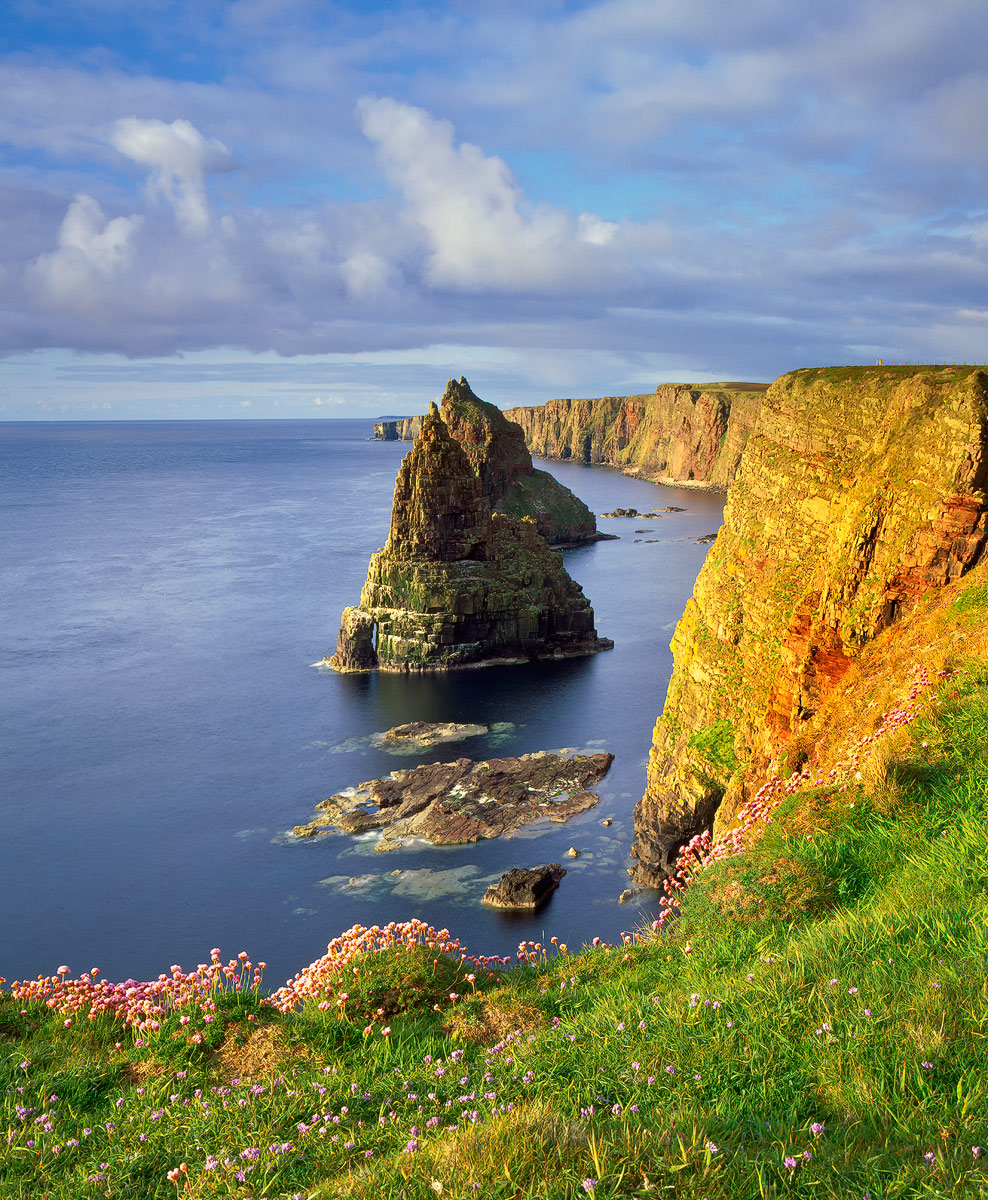 Golden Cliffs