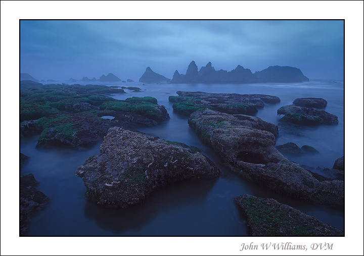 Blue Dawn