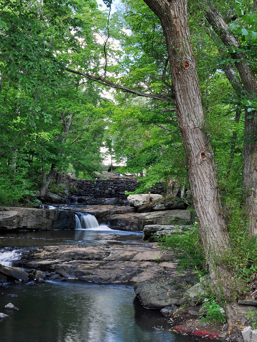 Cascade Paradise