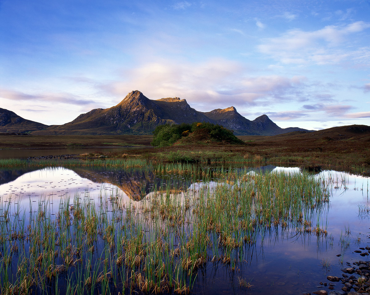 Ben Loyal Morning