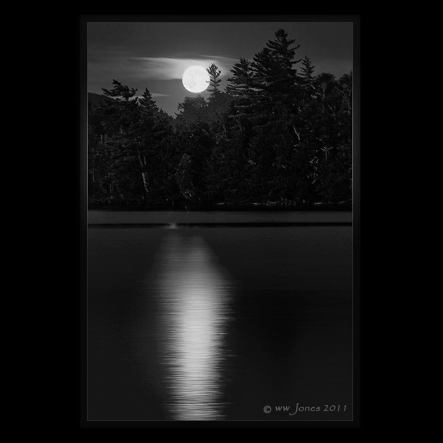 The Light of the Silvery