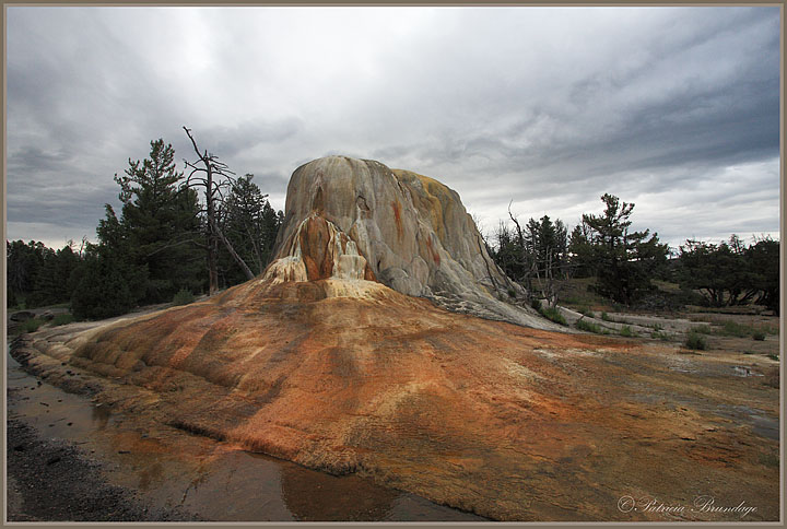Yellowstone