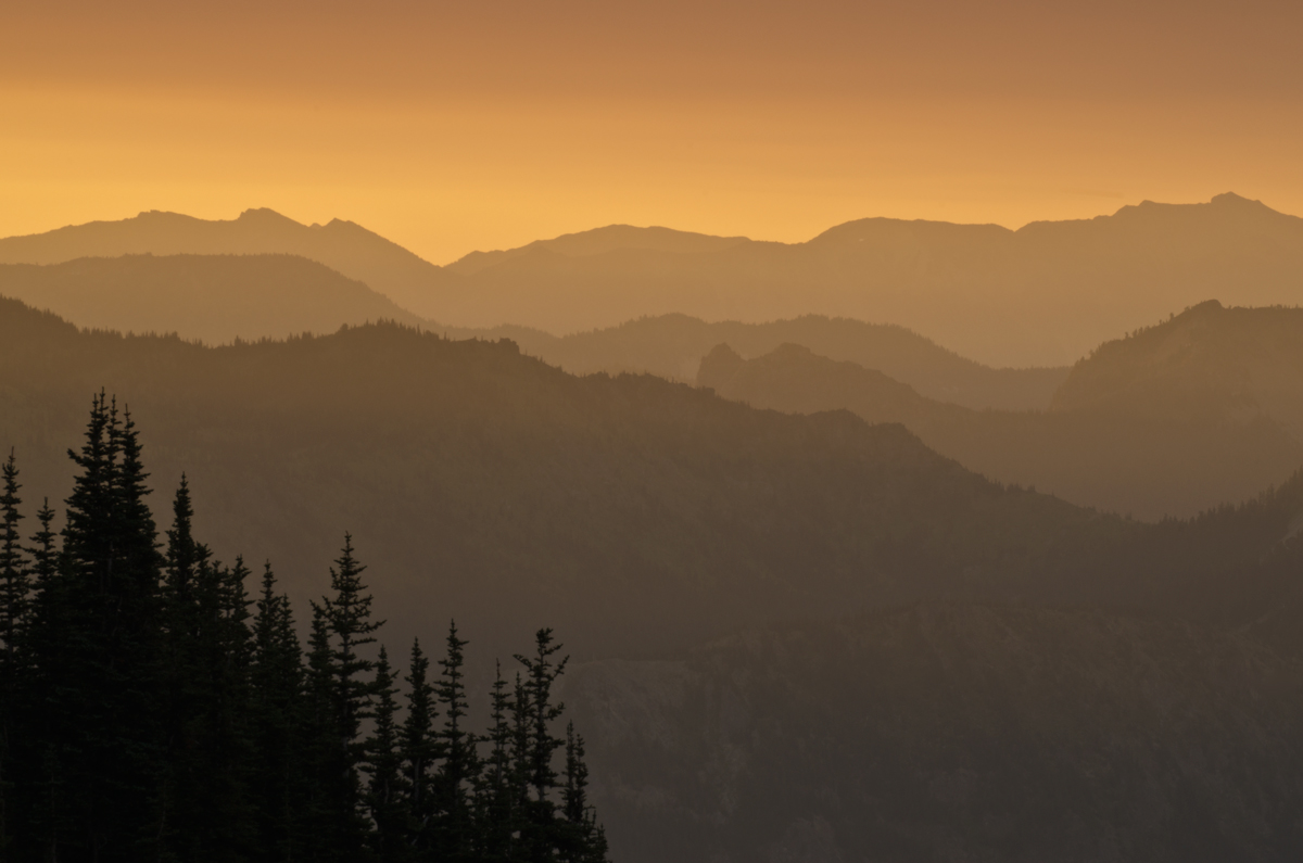 Smoky Orange