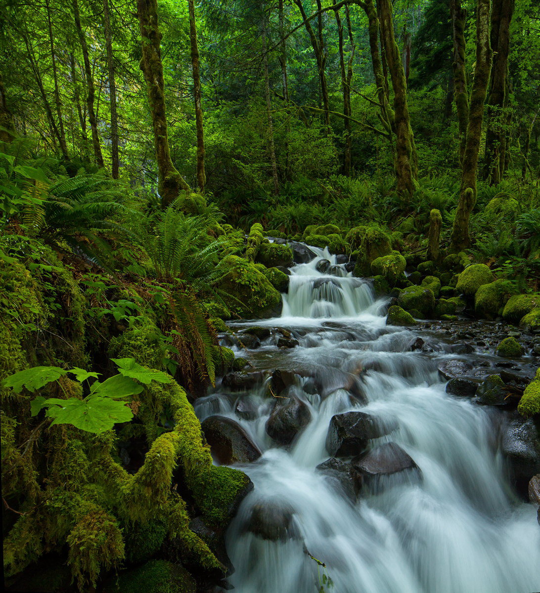 Dry Creek