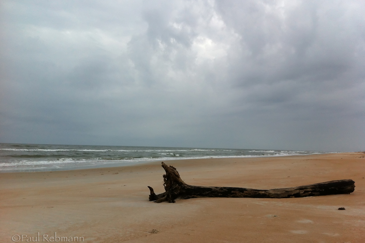 Log on Beach