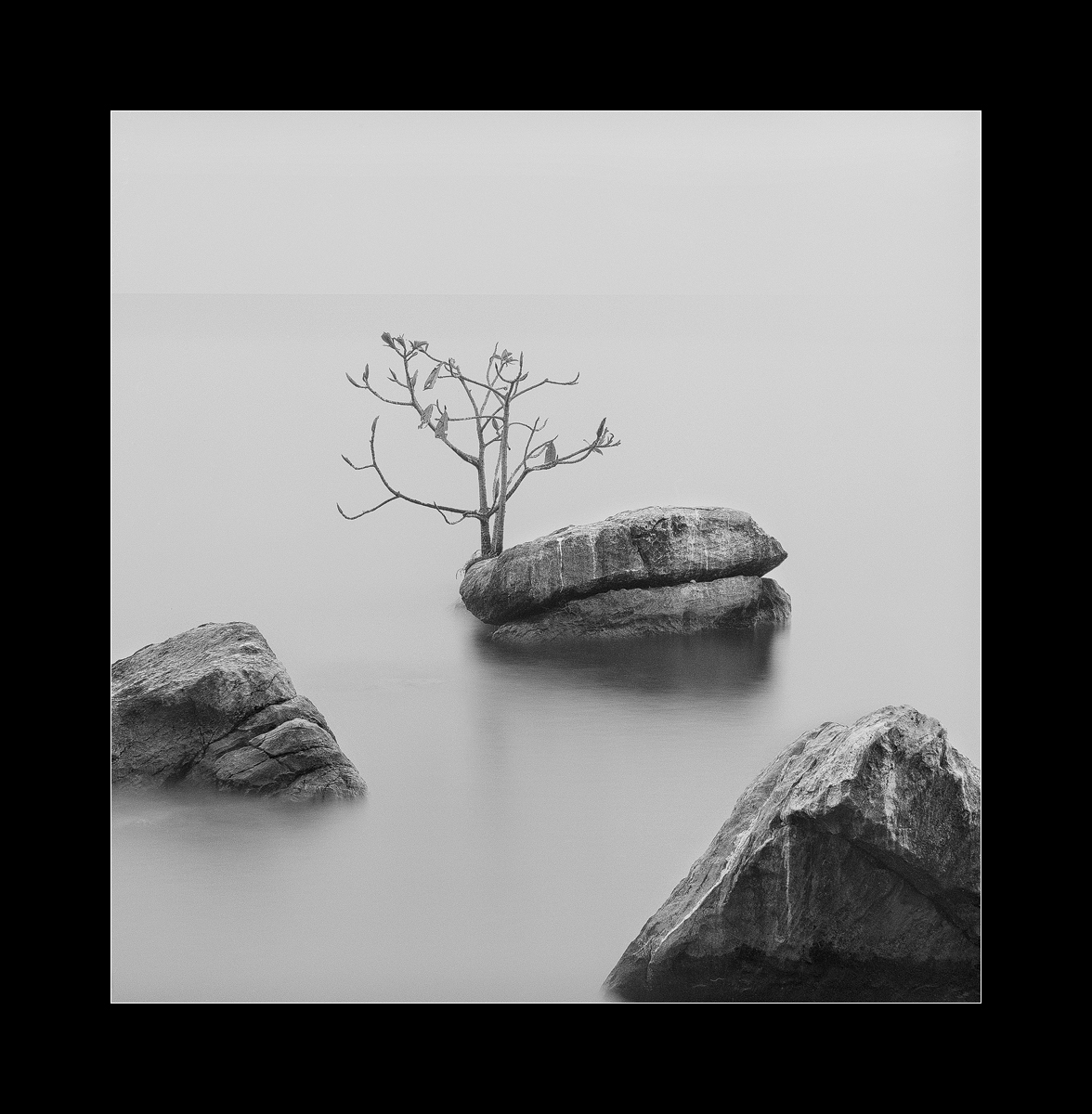 clinging to life