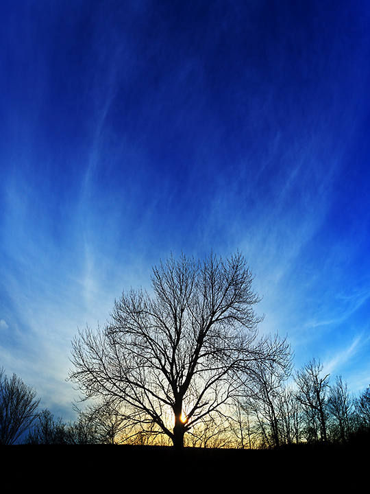 Vernal Sunset 1