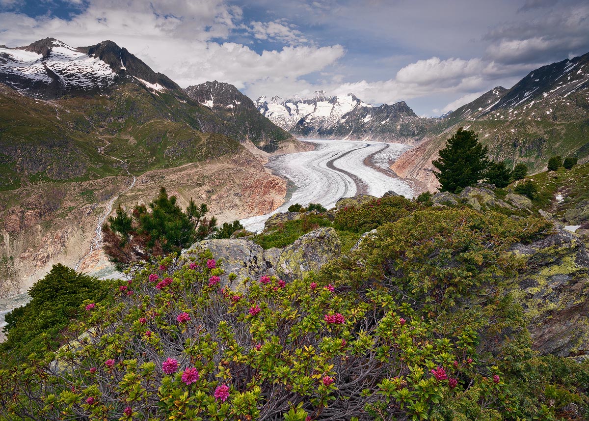 Aletsch Glacier