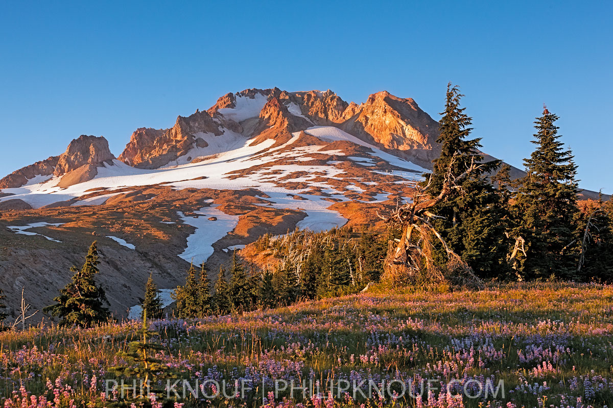 Mt. Hood Sunset