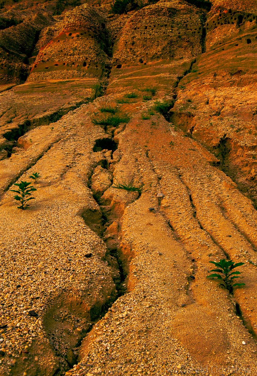 cliff at Caumsett 