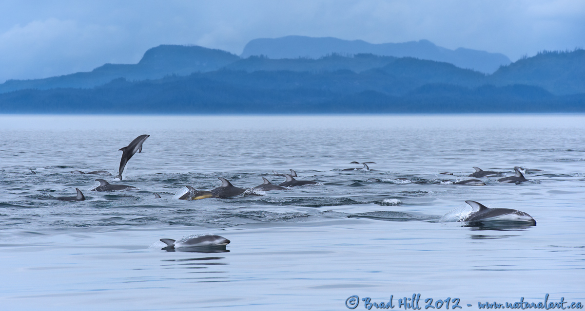 Band of Thugs!
