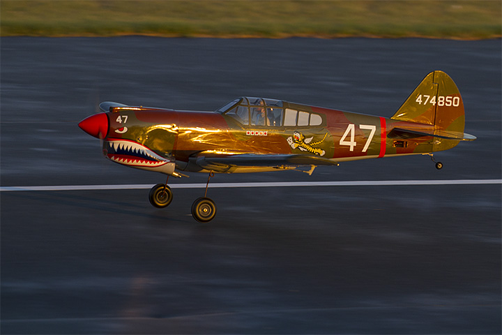 RC flights 1