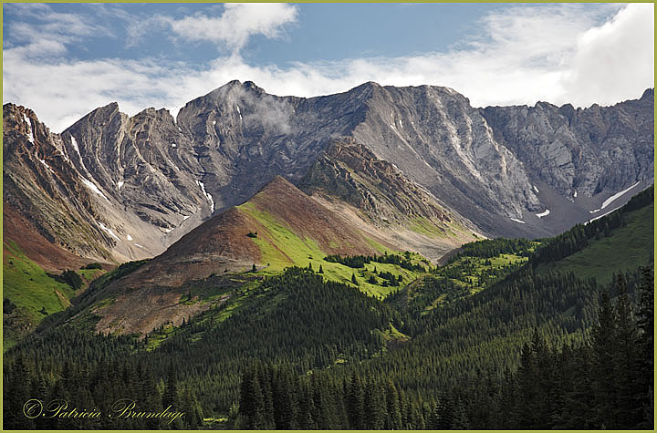 Canadian Rockies #1