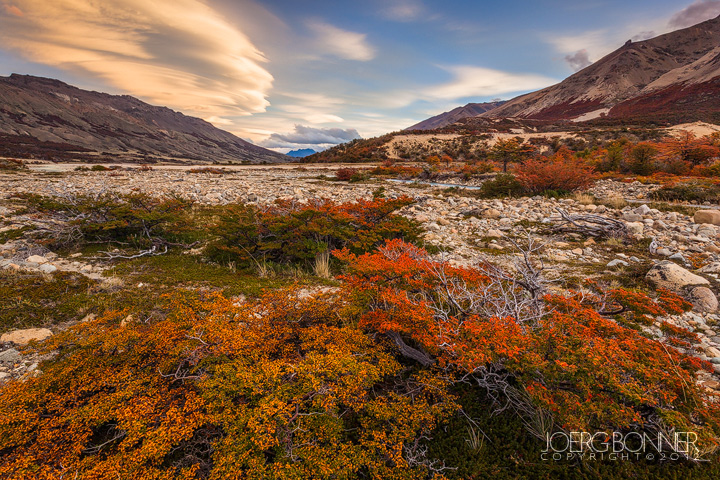 The Advent of Autumn