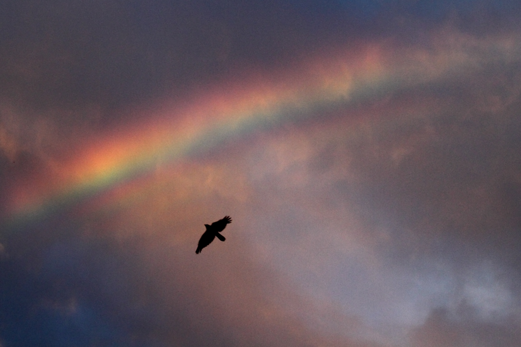 Chasing the Rainbow.