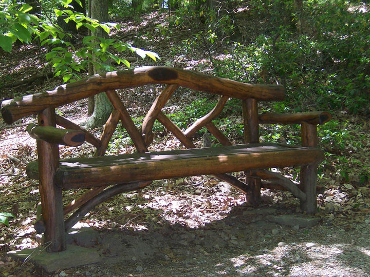 tree bench