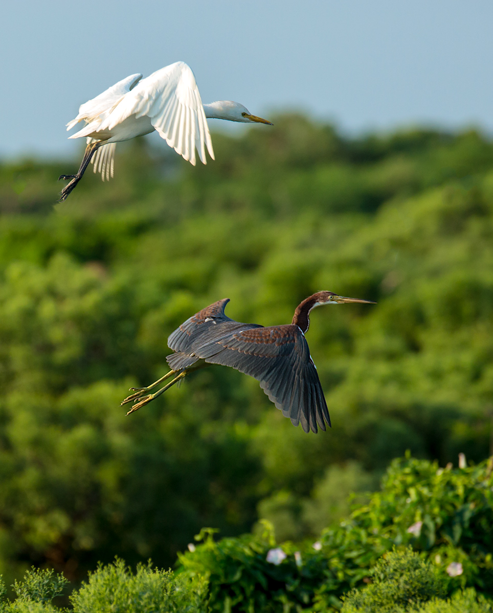 Tandem Flight