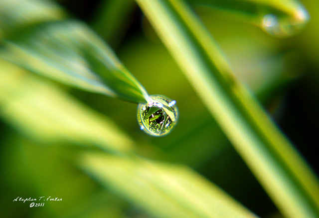 Tiny Universe