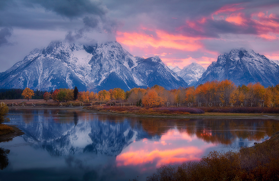 Majestic Pink
