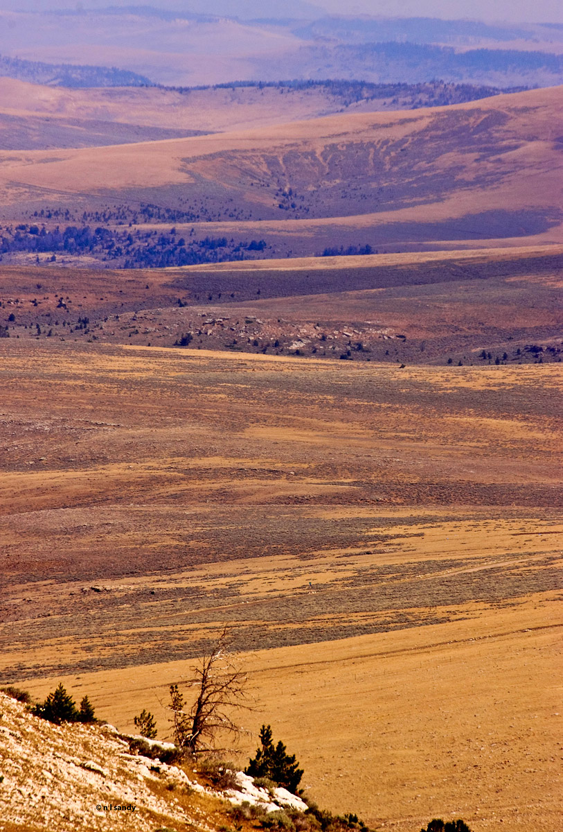 Big and Empty